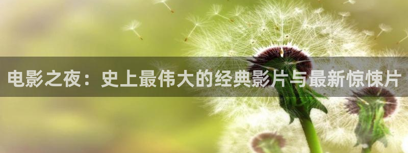 樱花视频推荐