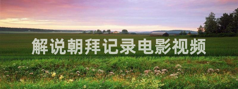 樱花影视大全免费看