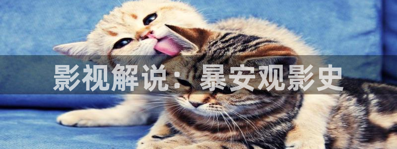 竖笛樱花视频
