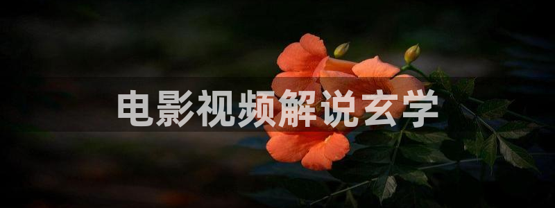 樱花视频m