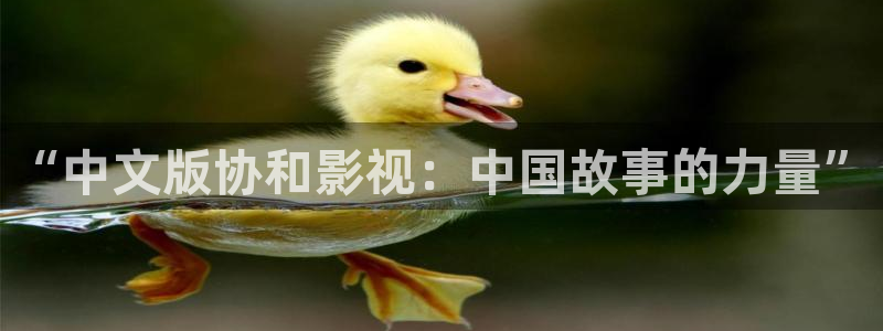 樱花视频欣赏