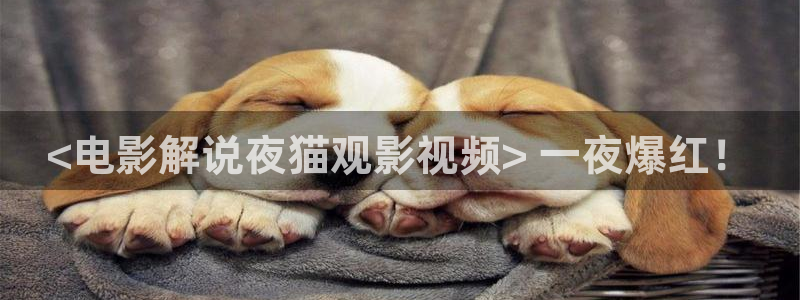 樱花视频怎么下