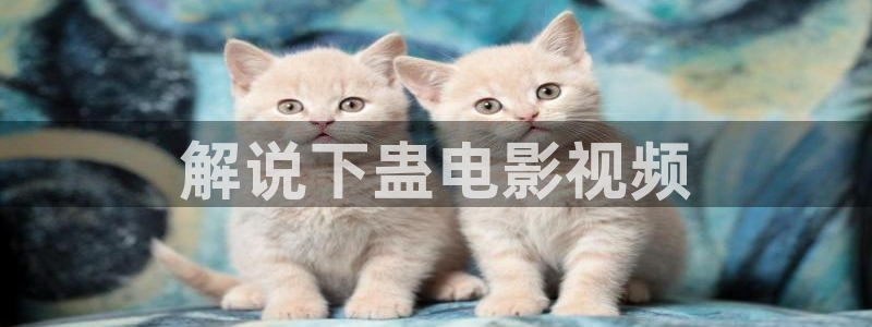 樱花影视高清电影