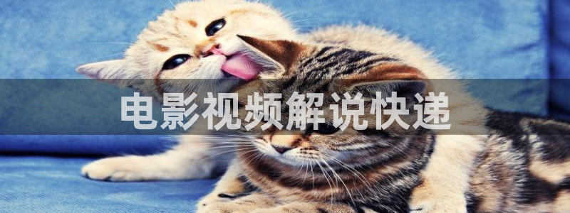 yy樱花视频