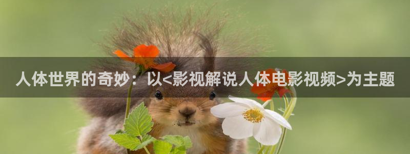 斩赤红之瞳樱花视频