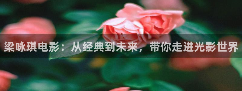 日本樱花视频真人版