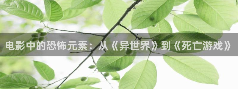 樱花影院电视剧免费播放