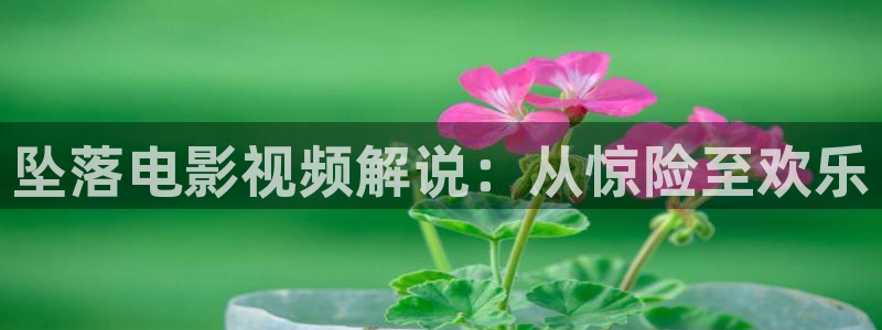 樱花影院破解