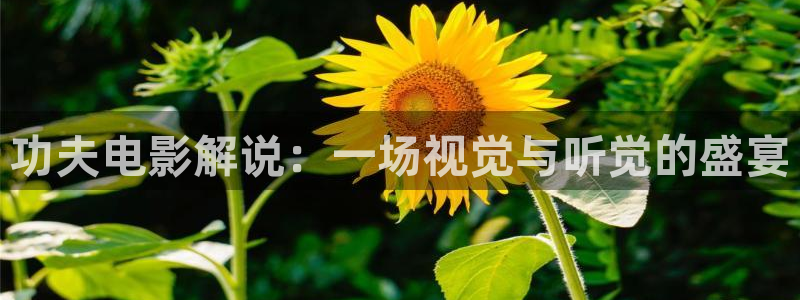 总之就非常可爱第二季樱花视频